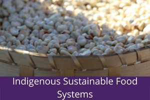 Bachelor of Arts and Science Indigenous Sustainable Food Systems